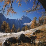Julian Alps meadow