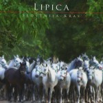 Lipica