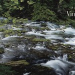 Vintgar River